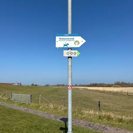 Luettje Moeoev An Der Nordsee *