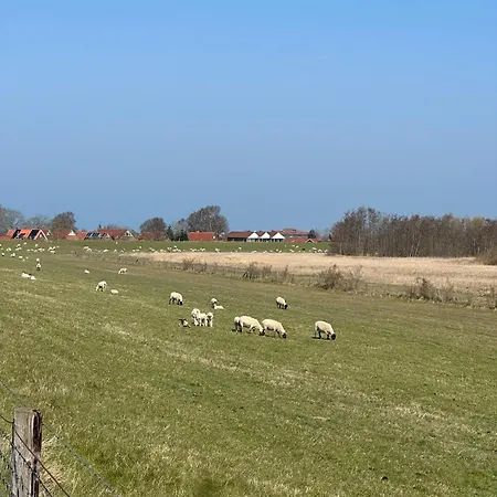 Luettje Moeoev An Der Nordsee * Schillig